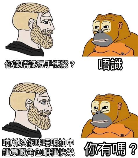 冇人識你:axrogljpqn0= 邊撚個大王|HKACG memes 2.5